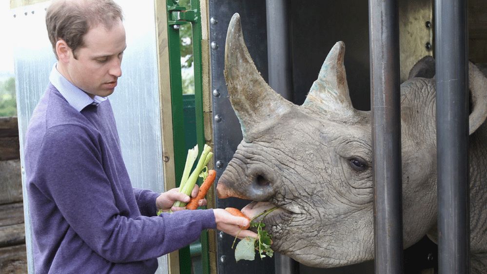 The Duke of Cambridge with a rhino