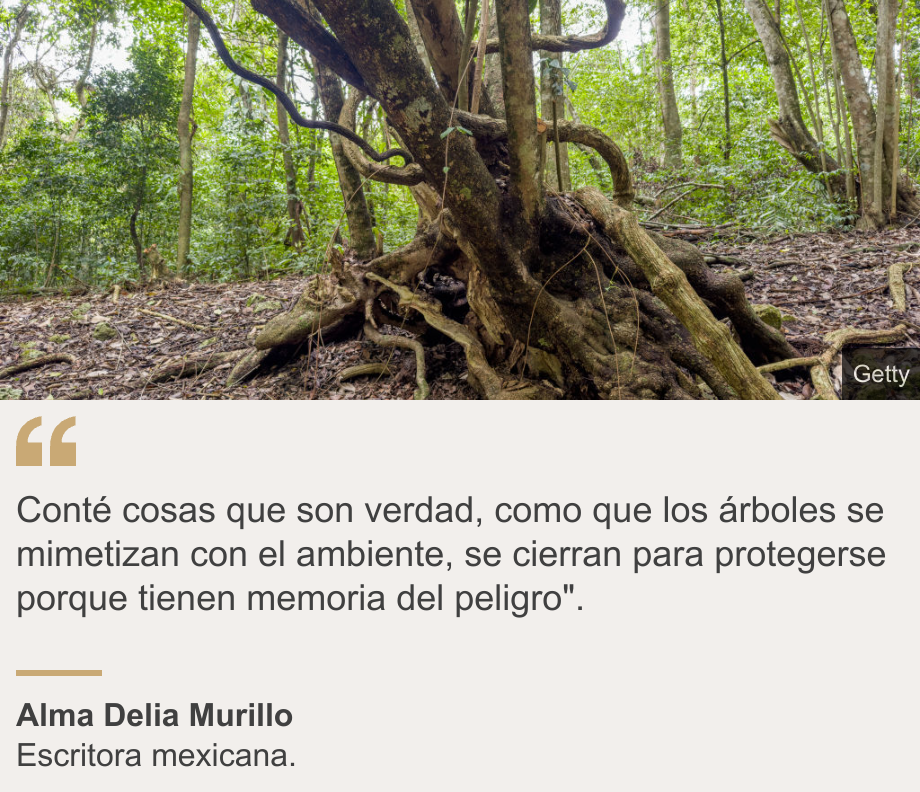 "Conté cosas que son verdad, como que los árboles se mimetizan con el ambiente, se cierran para protegerse porque tienen memoria del peligro".", Source: Alma Delia Murillo, Source description: Escritora mexicana. , Image: Arboles en la selva.