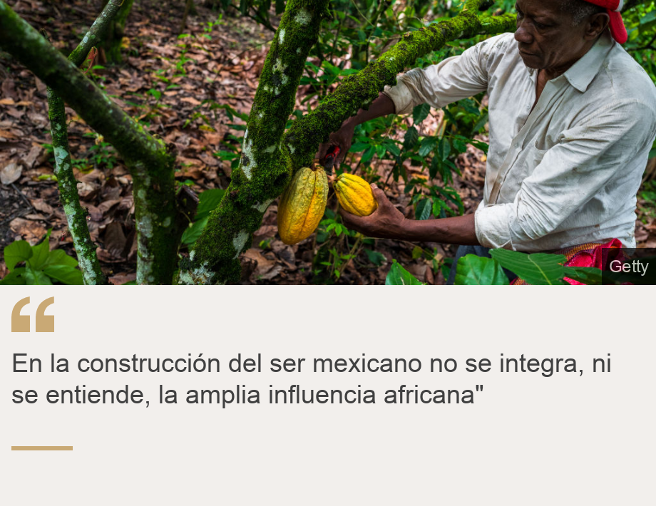 "En la construcción del ser mexicano no se integra, ni se entiende, la amplia influencia africana"", Source: , Source description: , Image: 