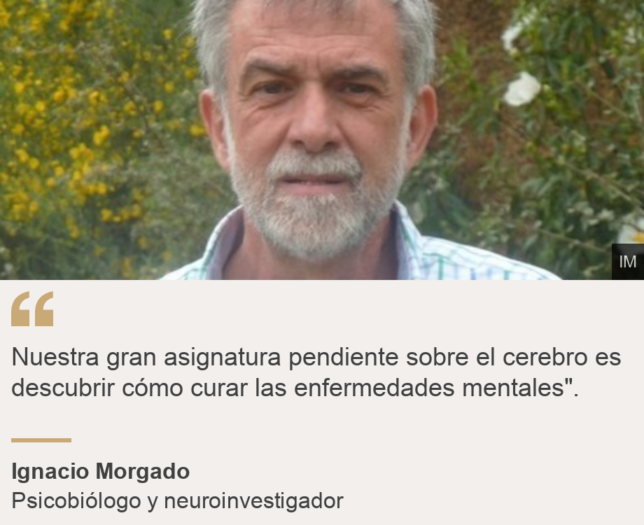"Nuestra gran asignatura pendiente sobre el cerebro es descubrir cómo curar las enfermedades mentales".", Source: Ignacio Morgado, Source description: Psicobiólogo y neuroinvestigador, Image: 