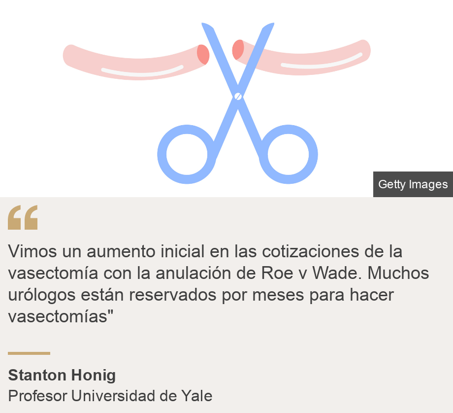 "Vimos un aumento inicial en las cotizaciones de la vasectomía con la anulación de Roe v Wade. Muchos urólogos están reservados por meses para hacer vasectomías"", Source: Stanton Honig, Source description: Profesor Universidad de Yale, Image: 