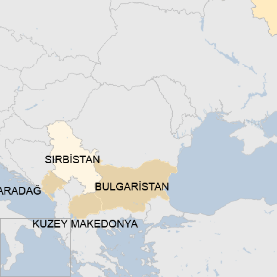 Rus Dışişleri Bakanı Lavrov Sırbistan ziyaretini uçuş yasağı nedeniyle iptal etmek zorunda kaldı 1