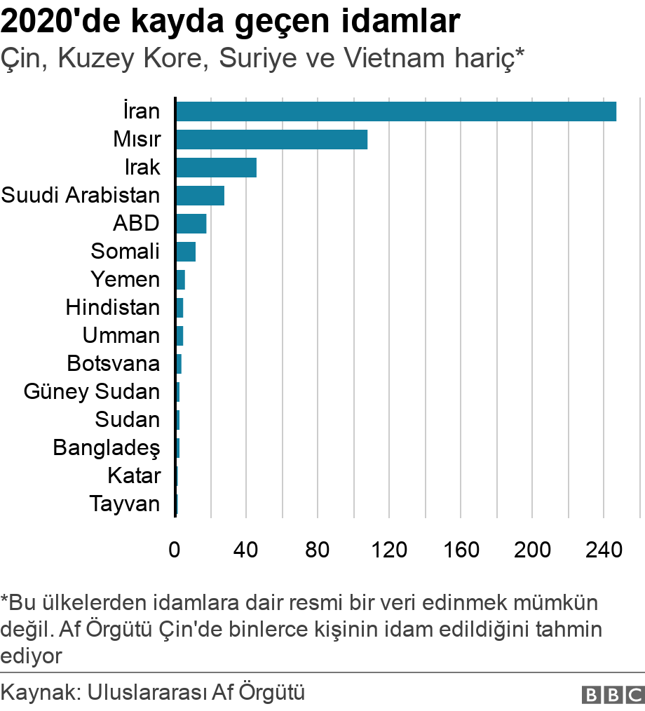 2020'de kayda geçen idamlar. Çin, Kuzey Kore, Suriye ve Vietnam hariç*.  *Bu ülkelerden idamlara dair resmi bir veri edinmek mümkün değil. Af Örgütü Çin'de binlerce kişinin idam edildiğini tahmin ediyor.