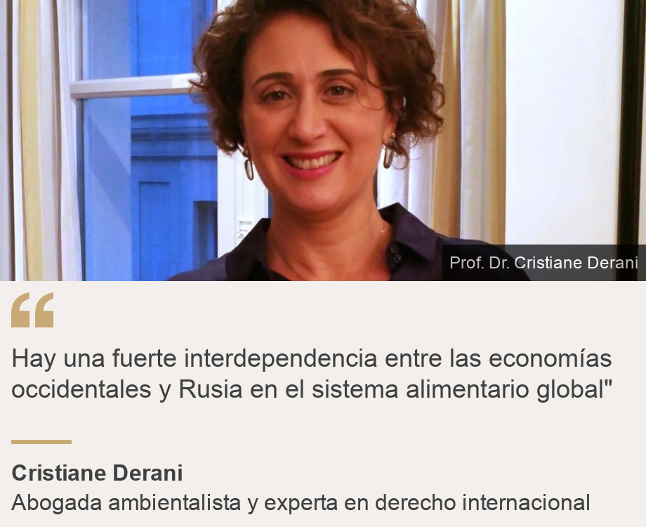 &quot;Hay una fuerte interdependencia entre las economías occidentales y Rusia en el sistema alimentario global&quot;&quot;, Source: Cristiane Derani, Source description: Abogada ambientalista y experta en derecho internacional, Image: Prof. Dr. Cristiane Derani