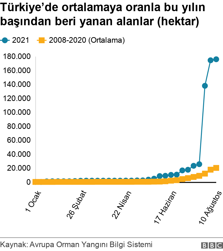 Orman yangınları artıyor mu, iklim değişikliği ile nasıl bir bağlantısı var? 2