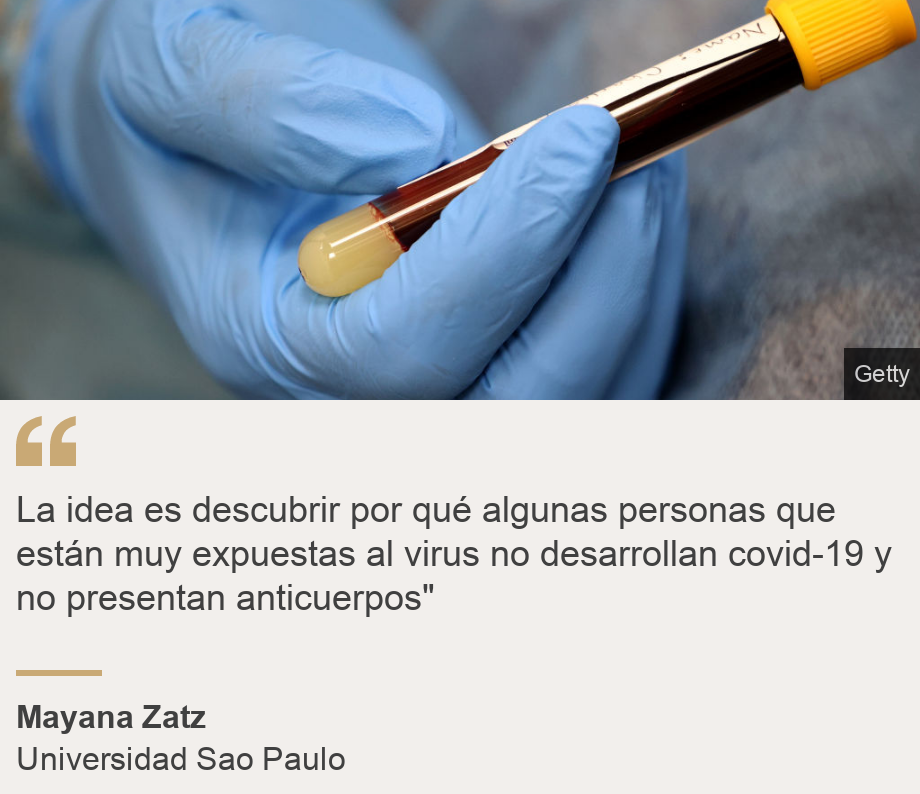 "La idea es descubrir por qué algunas personas que están muy expuestas al virus no desarrollan covid-19 y no presentan anticuerpos"", Source: Mayana Zatz, Source description: Universidad Sao Paulo, Image: 