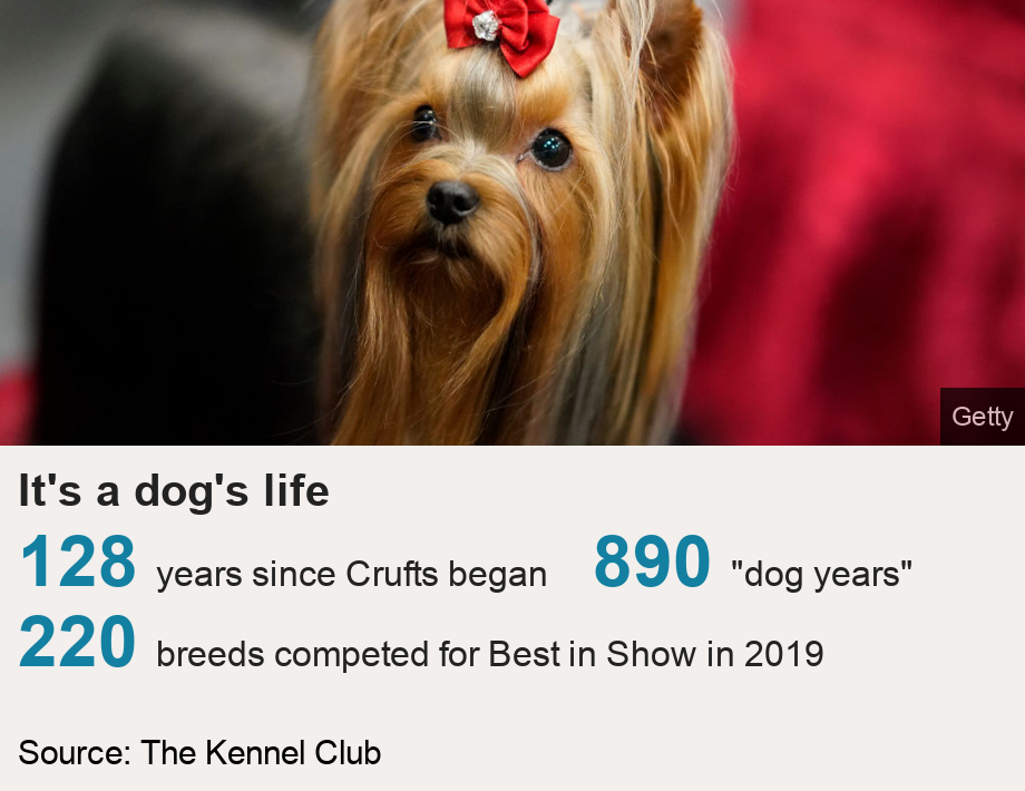 bbc crufts 2019