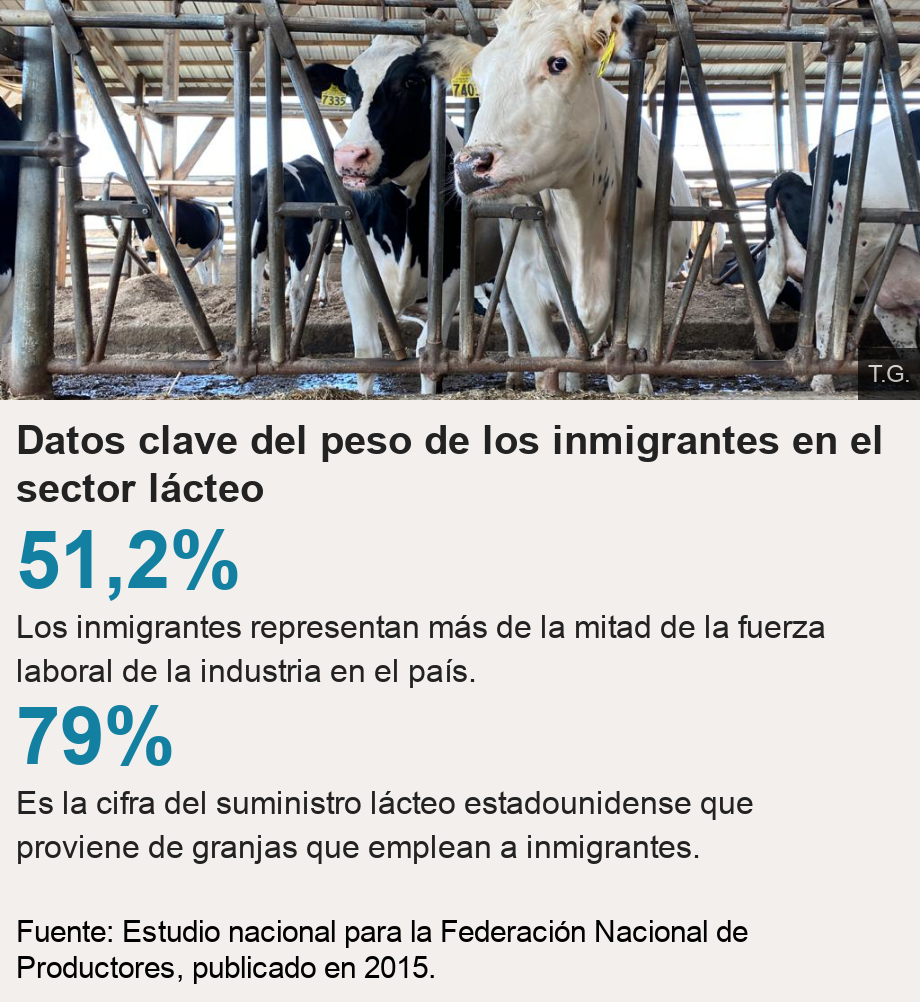 Datos clave del peso de los inmigrantes en el sector lácteo.  [ 51,2%  Los inmigrantes representan más de la mitad de la fuerza laboral de la industria en el país. ],[ 79% Es la cifra del suministro lácteo estadounidense que proviene de granjas que emplean a inmigrantes. ] , Source: Fuente: Estudio nacional para la Federación Nacional de Productores, publicado en 2015., Image: Dos vacas