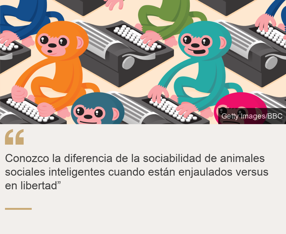 "Conozco la diferencia de la sociabilidad de animales sociales inteligentes cuando están enjaulados versus en libertad”", Source: , Source description: , Image: Patrón isométrico de viajes 