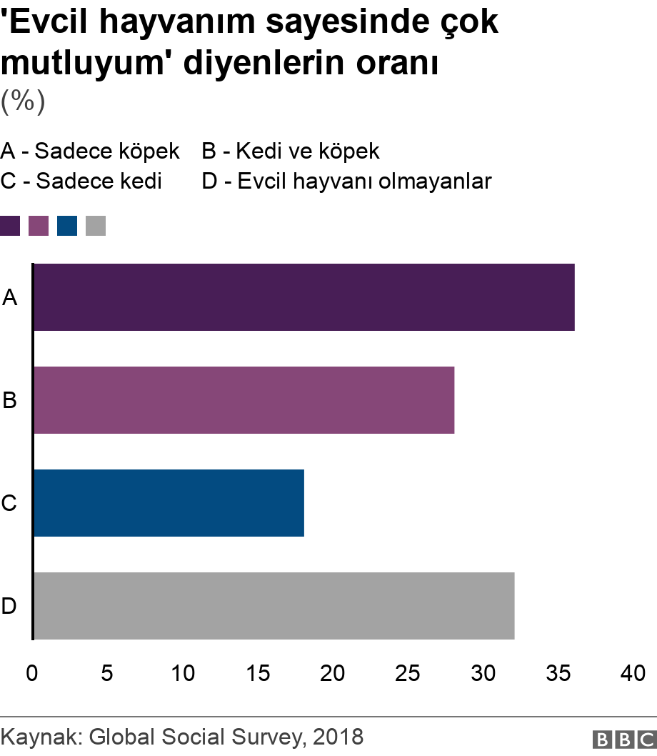 'Evcil hayvanım sayesinde çok mutluyum' diyenlerin oranı. (%).  .