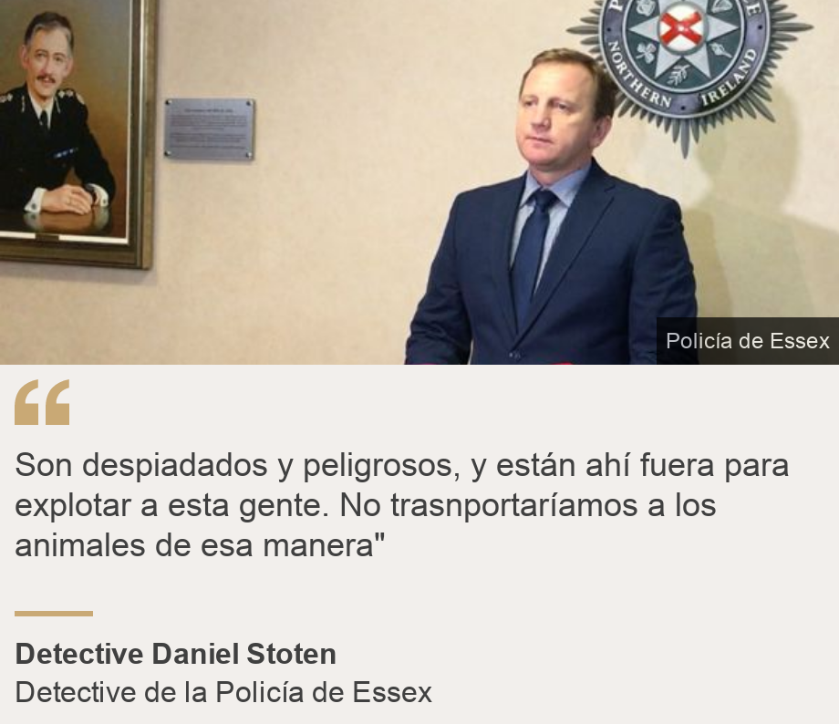 &quot;Son despiadados y peligrosos, y están ahí fuera para explotar a esta gente. No trasnportaríamos a los animales de esa manera&quot;&quot;, Source: Detective Daniel Stoten, Source description: Detective de la Policía de Essex, Image: 