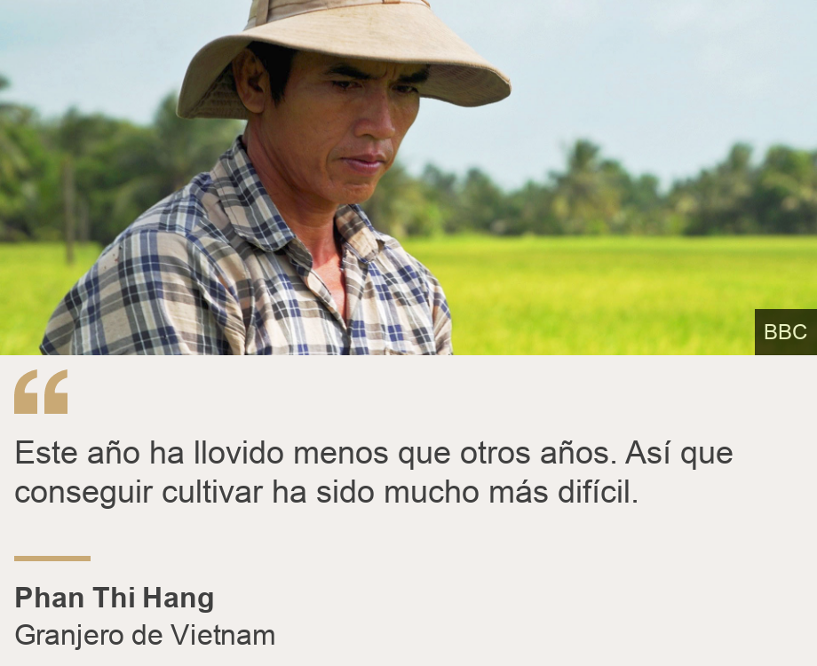 "Este año ha llovido menos que otros años. Así que conseguir cultivar ha sido mucho más difícil.", Source: Phan Thi Hang, Source description: Granjero de Vietnam, Image: A portrait of Phan Thi Hang