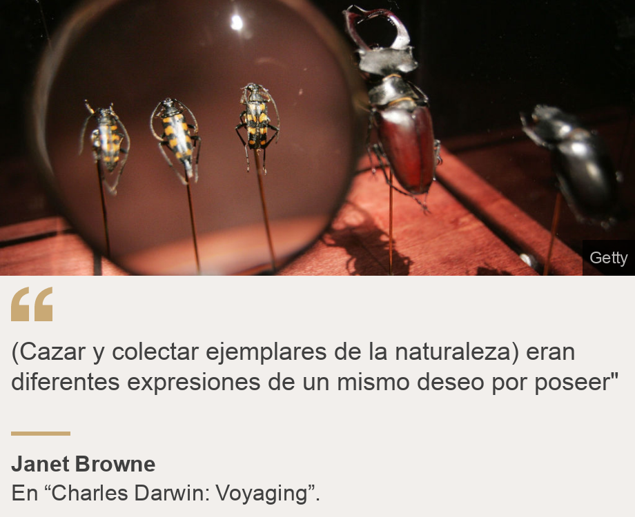 "(Cazar y colectar ejemplares de la naturaleza) eran diferentes expresiones de un mismo deseo por poseer"", Source: Janet Browne, Source description: En “Charles Darwin: Voyaging”., Image: 