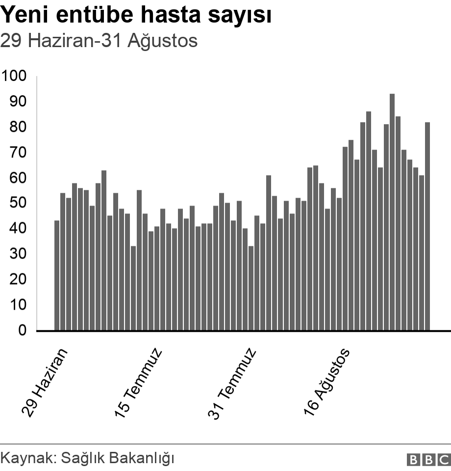 Yeni entübe hasta sayısı. 29 Haziran-31 Ağustos.  .