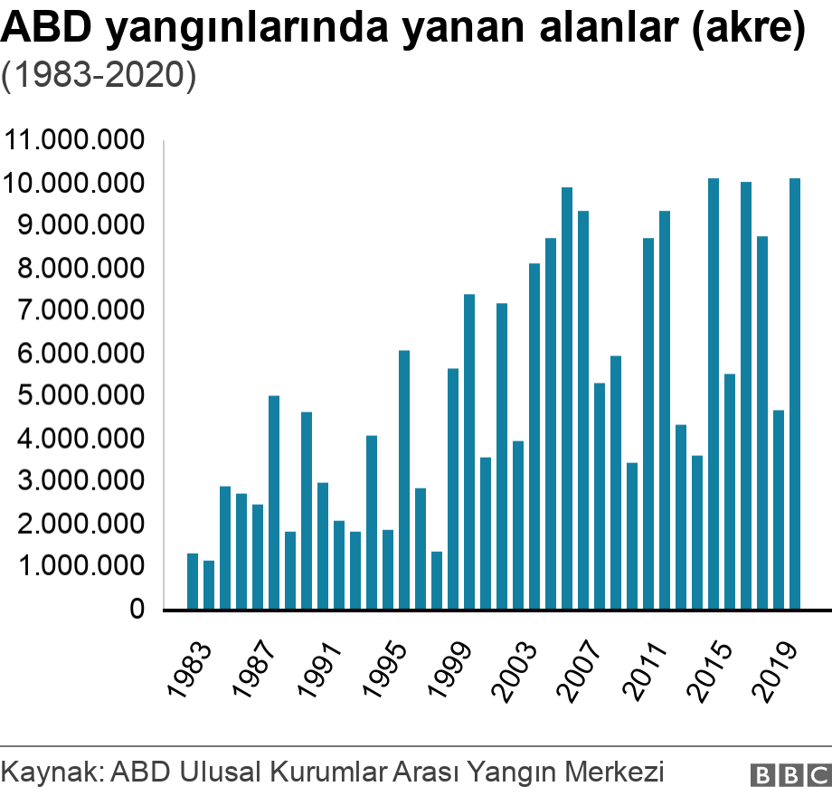 Orman yangınları: Artış var mı, iklim değişikliği ile nasıl bir kontağı var?