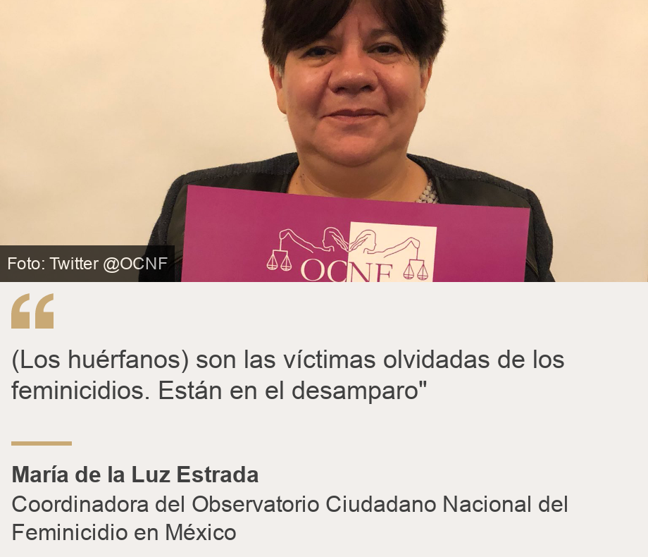 "(Los huérfanos) son las víctimas olvidadas de los feminicidios. Están en el desamparo"", Source: María de la Luz Estrada, Source description: Coordinadora del Observatorio Ciudadano Nacional del Feminicidio en México, Image: María de la Luz Estrada