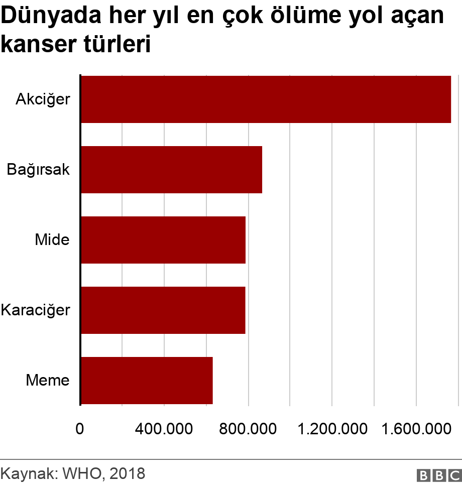 Dünyada her yıl en çok ölüme yol açan kanser türleri. .  .