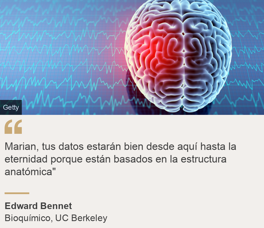 "Marian, tus datos estarán bien desde aquí hasta la eternidad porque están basados en la estructura anatómica"", Source: Edward Bennet , Source description: Bioquímico, UC Berkeley, Image: A brain