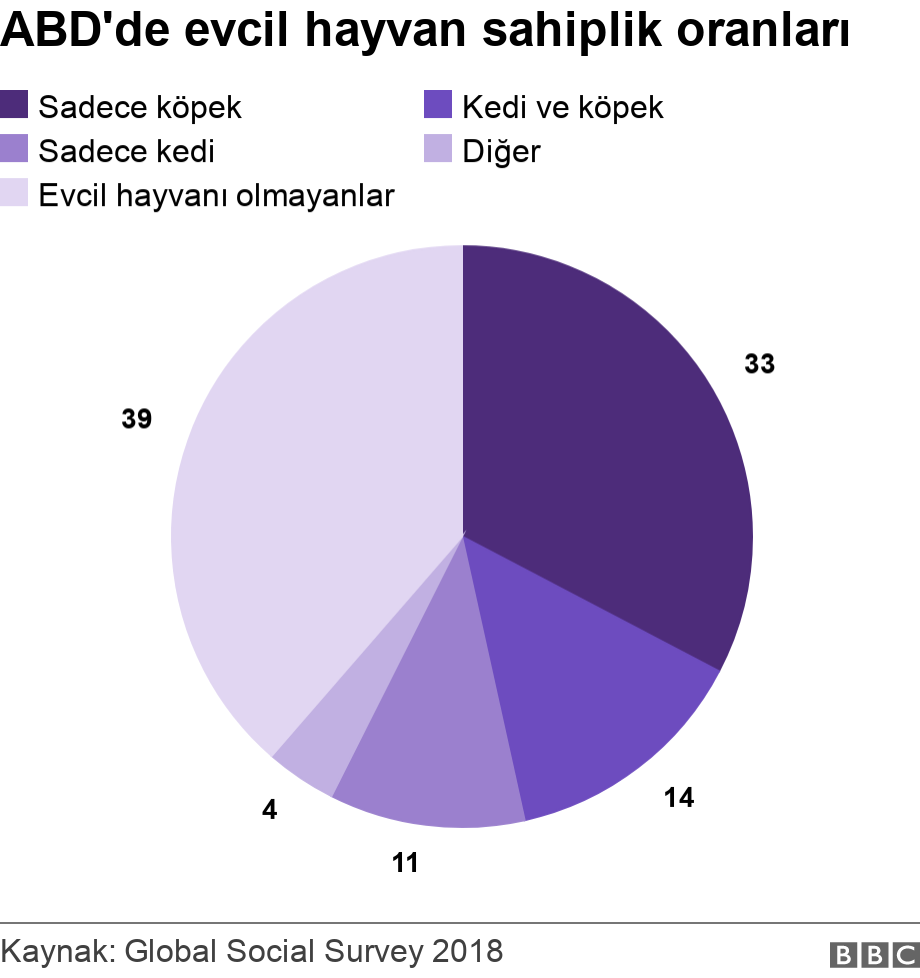 ABD'de evcil hayvan sahiplik oranları. . .
