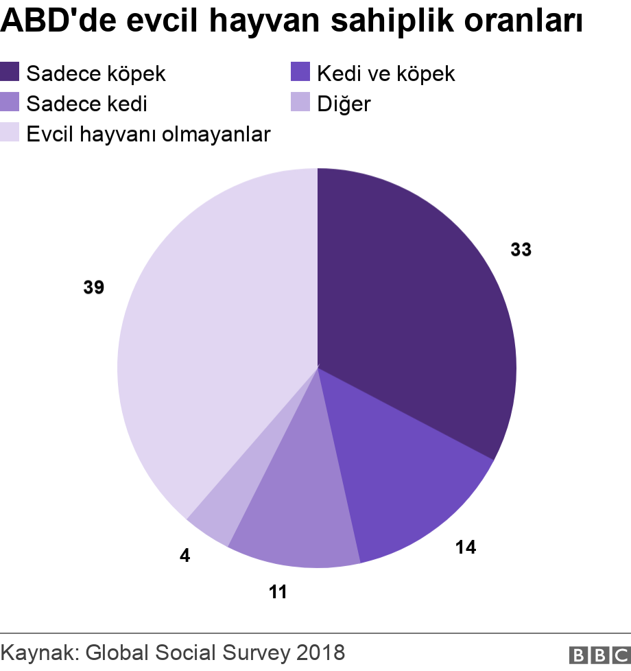 ABD'de evcil hayvan sahiplik oranları. .  .