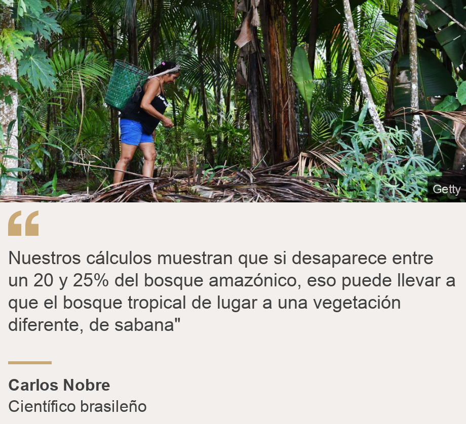 "Nuestros cálculos muestran que si desaparece entre un 20 y 25% del bosque amazónico, eso puede llevar a que el bosque tropical de lugar a una vegetación diferente, de sabana"", Source: Carlos Nobre, Source description: Científico brasileño, Image: Mujer dentro de la selva amazónica