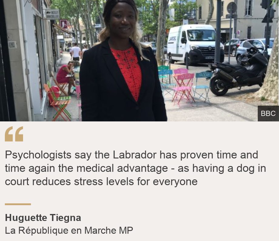 "Psychologists say the Labrador has proven time and time again the medical advantage - as having a dog in court reduces stress levels for everyone", Source: Huguette Tiegna, Source description: La République en Marche MP, Image: Huguette Tiegna