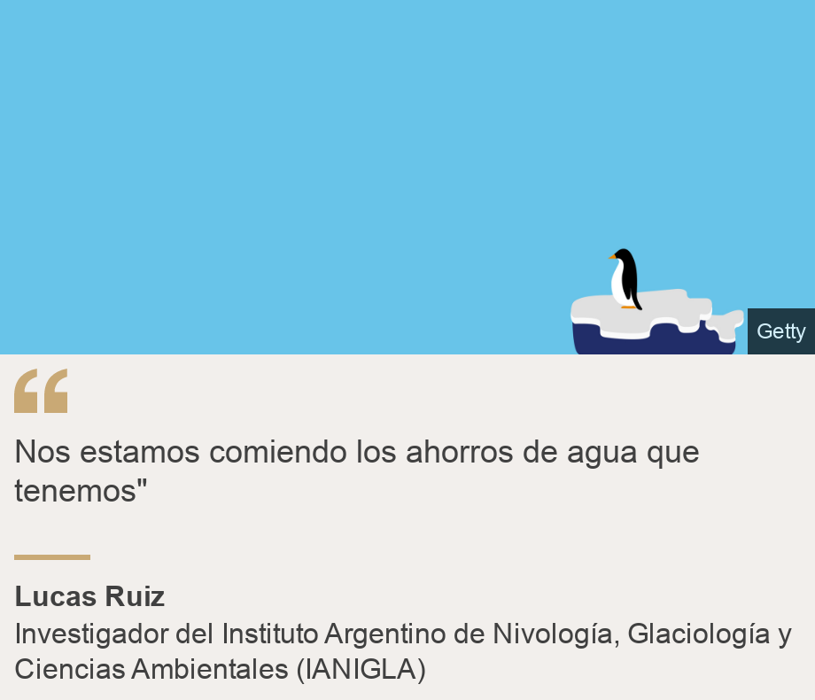 "Nos estamos comiendo los ahorros de agua que tenemos"", Source: Lucas Ruiz, Source description: Investigador del Instituto Argentino de Nivología, Glaciología y Ciencias Ambientales (IANIGLA), Image: Un pingüino en un témpano. 