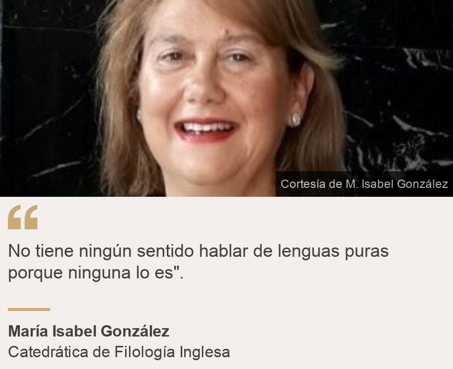 "No tiene ningún sentido hablar de lenguas puras porque ninguna lo es".", Source: María Isabel González, Source description: Catedrática de Filología Inglesa, Image: María Isabel González