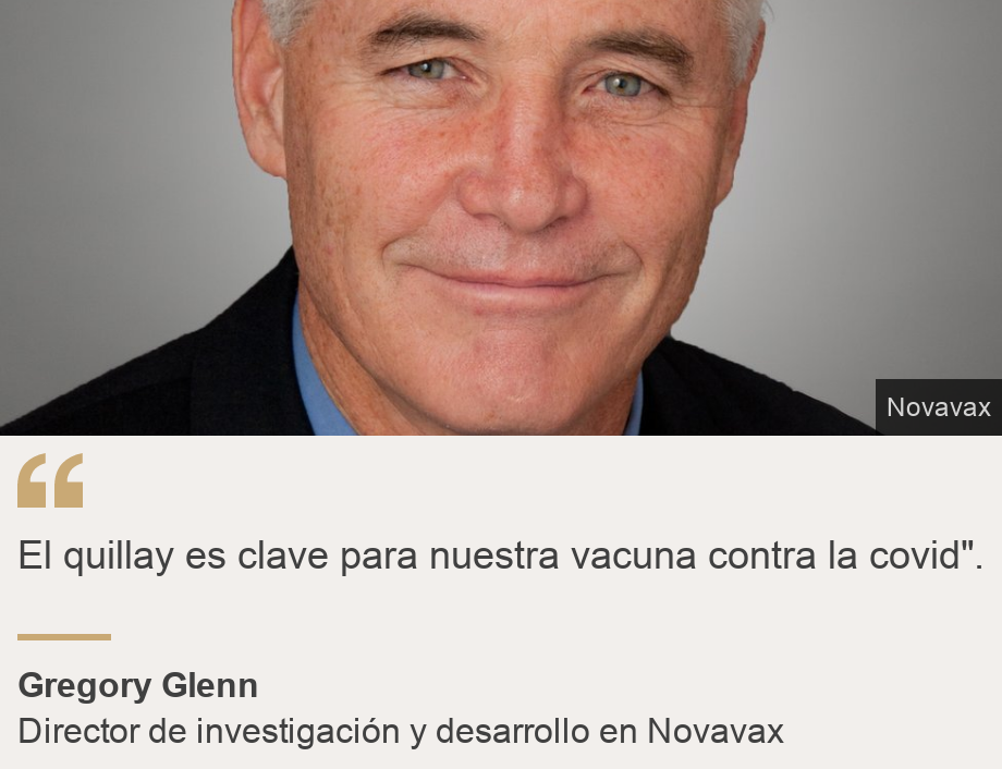 "El quillay es clave para nuestra vacuna contra la covid".", Source: Gregory Glenn, Source description: Director de investigación y desarrollo en Novavax, Image: 