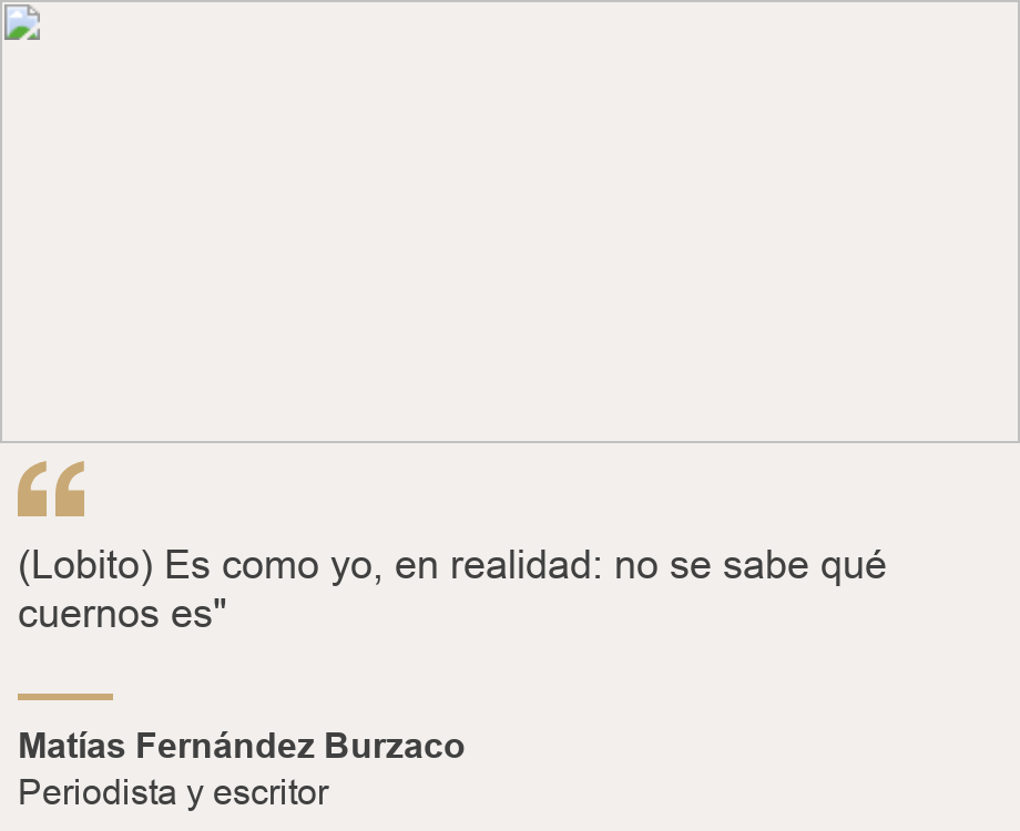 "(Lobito) Es como yo, en realidad: no se sabe qué cuernos es"", Source: Matías Fernández Burzaco, Source description: Periodista y escritor, Image: 