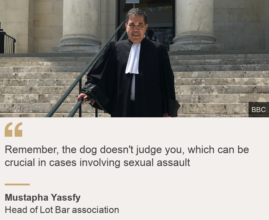 "Remember, the dog doesn't judge you, which can be crucial in cases involving sexual assault", Source: Mustapha Yassfy, Source description: Head of Lot Bar association, Image: Mustapha Yassfy