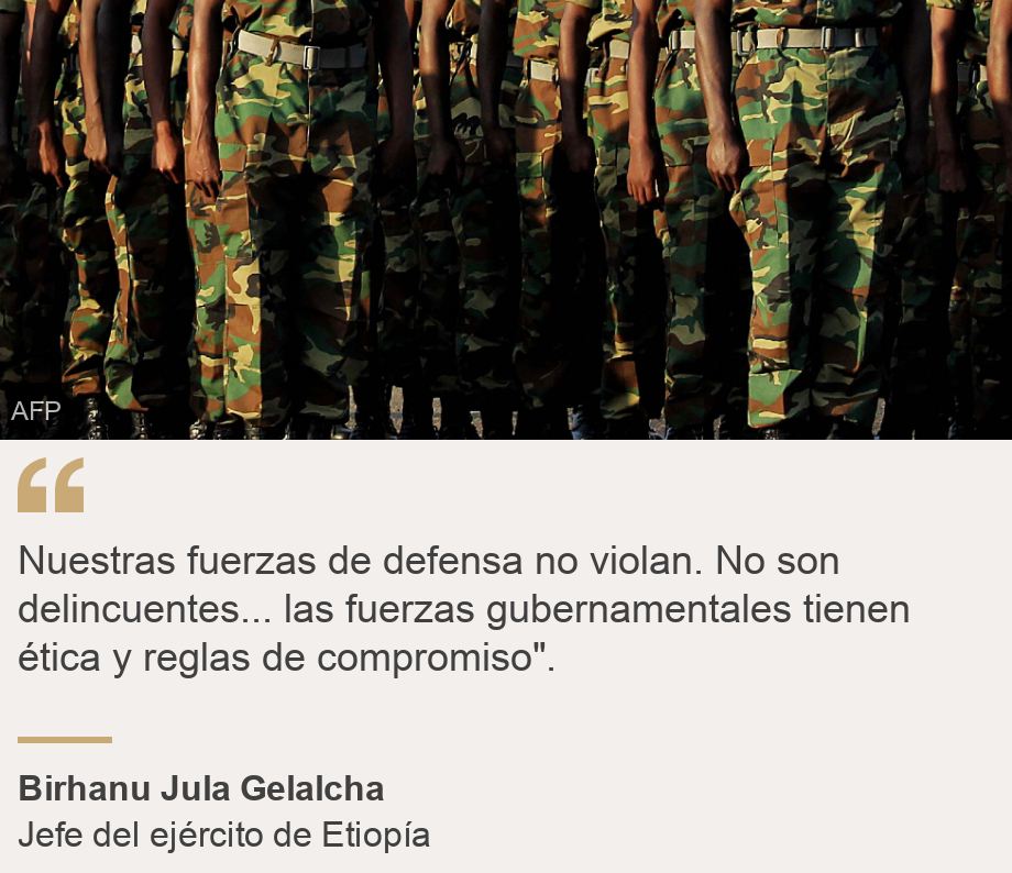 &quot;Nuestras fuerzas de defensa no violan. No son delincuentes... las fuerzas gubernamentales tienen ética y reglas de compromiso&quot;.&quot;, Source: Birhanu Jula Gelalcha , Source description: Jefe del ejército de Etiopía, Image: Unidentified Ethiopian army soldiers standing to attention