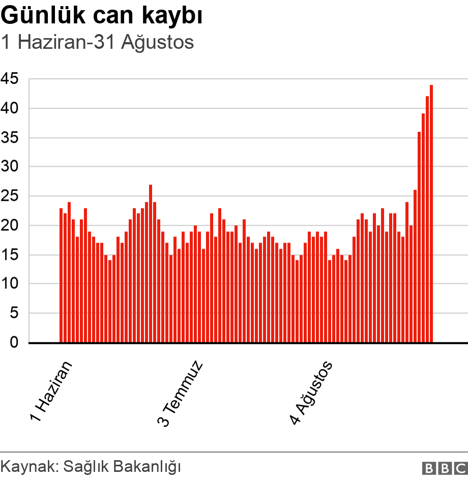 Günlük can kaybı. 1 Haziran-31 Ağustos.  .