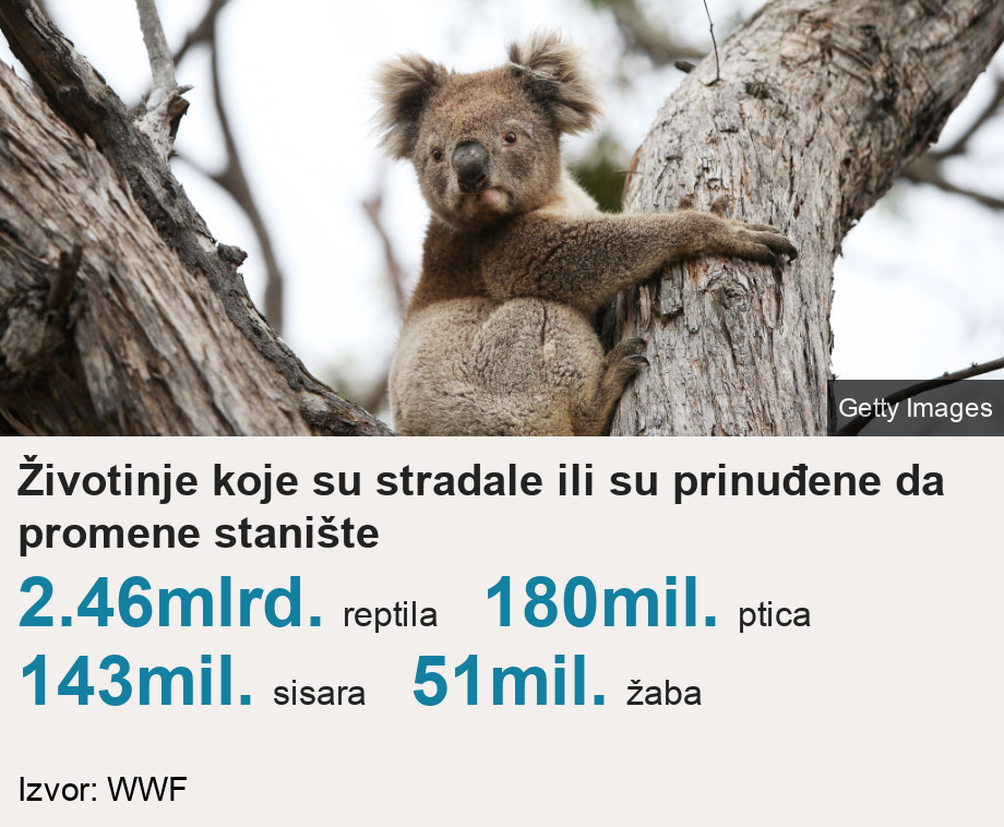 Životinje koje su stradale ili su prinuđene da promene stanište.   [ 2.46mlrd. reptila ],[ 180mil. ptica ],[ 143mil. sisara ],[ 51mil. žaba ], Source: Izvor: WWF, Image: 