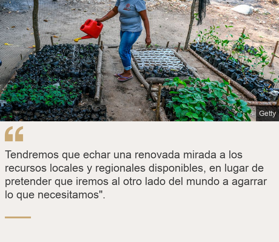 "Tendremos que echar una renovada mirada a los recursos locales y regionales disponibles, en lugar de pretender que iremos al otro lado del mundo a agarrar lo que necesitamos".", Source: , Source description: , Image: Una mujer rociando unos retoños de árboles en Colombia