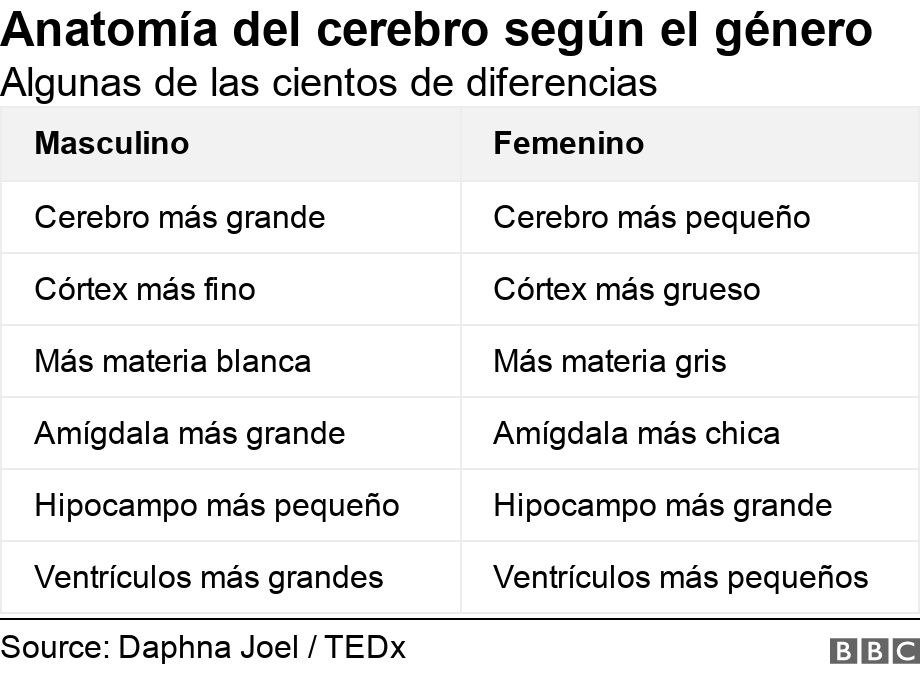 Anatomía del cerebro según el género. Algunas de las cientos de diferencias.  .