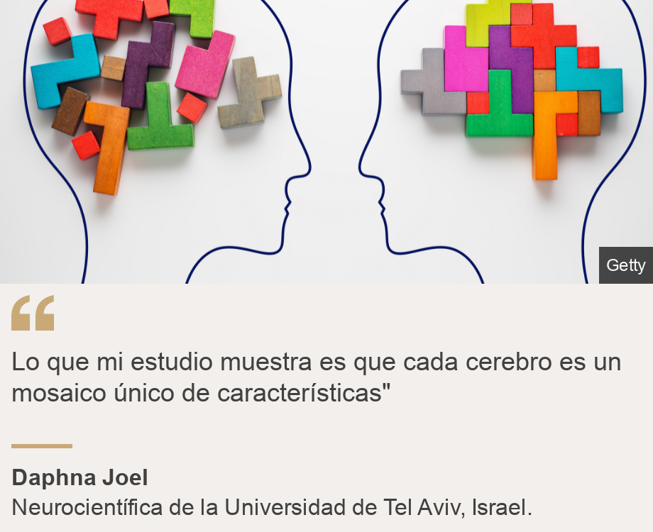 "Lo que mi estudio muestra es que cada cerebro es un mosaico único de características"", Source: Daphna Joel, Source description: Neurocientífica de la Universidad de Tel Aviv, Israel., Image: Cerebros y piezas.