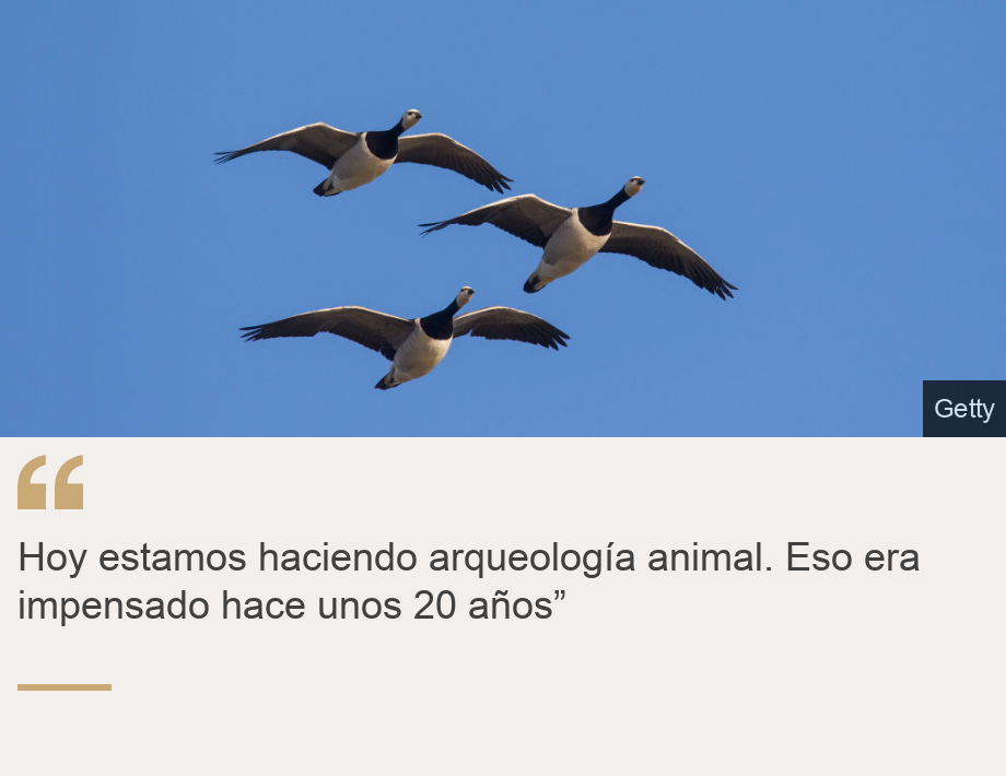 "Hoy estamos haciendo arqueología animal. Eso era impensado hace unos 20 años”", Source: , Source description: , Image: 