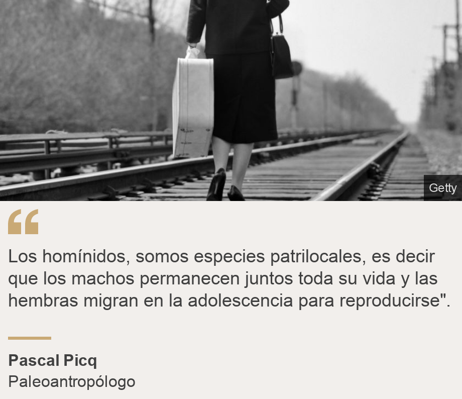 "Los homínidos, somos especies patrilocales, es decir que los machos permanecen juntos toda su vida y las hembras migran en la adolescencia para reproducirse".", Source:  Pascal Picq , Source description: Paleoantropólogo , Image: Mujer yéndose.