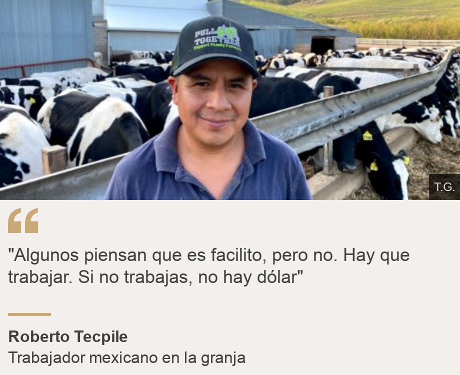 ""Algunos piensan que es facilito, pero no. Hay que trabajar. Si no trabajas, no hay dólar"
", Source: Roberto Tecpile, Source description: Trabajador mexicano en la granja , Image: Roberto Tecpile