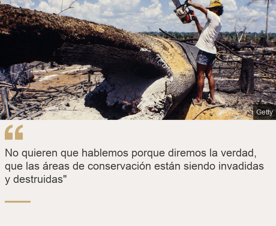 "No quieren que hablemos porque diremos la verdad, que las áreas de conservación están siendo invadidas y destruidas"", Source: , Source description: , Image: Hombre cortando árbol