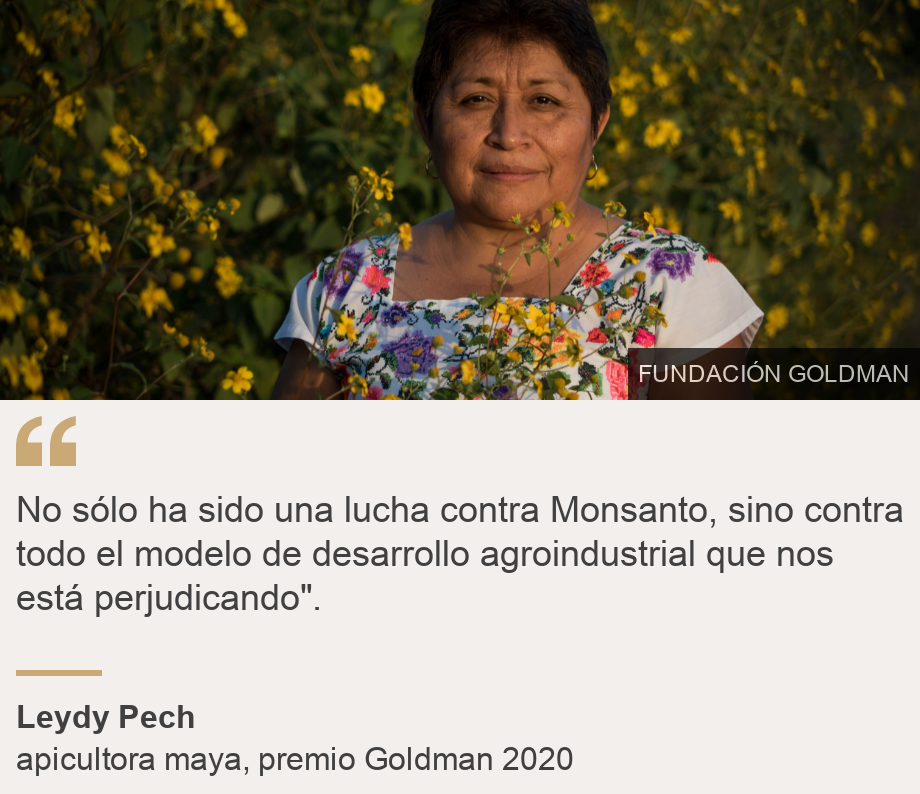 "No ha sido solo una lucha contra Monsanto, sino contra todo el modelo de desarrollo agroindustrial que nos está lastimando".", Fuente: Leydy Pech, Descripción de la fuente: apicultor maya, Premio Goldman 2020, Imagen: Leydy Pech