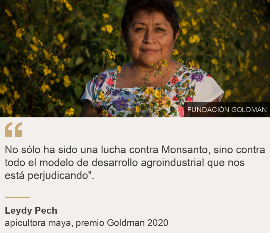 "No sólo ha sido una lucha contra Monsanto, sino contra todo el modelo de desarrollo agroindustrial que  nos está perjudicando".", Source: Leydy Pech, Source description: apicultora maya, premio Goldman 2020, Image: Leydy Pech