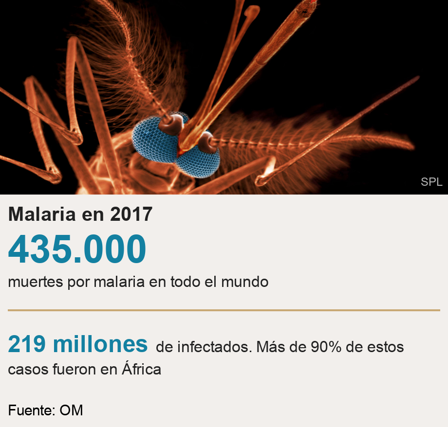 Malaria en 2017. [ 435.000 muertes por malaria en todo el mundo ] [ 219 millones de infectados. Más de 90% de estos casos fueron en África ], Source: Fuente: OM, Image: Anopheles mosquito.