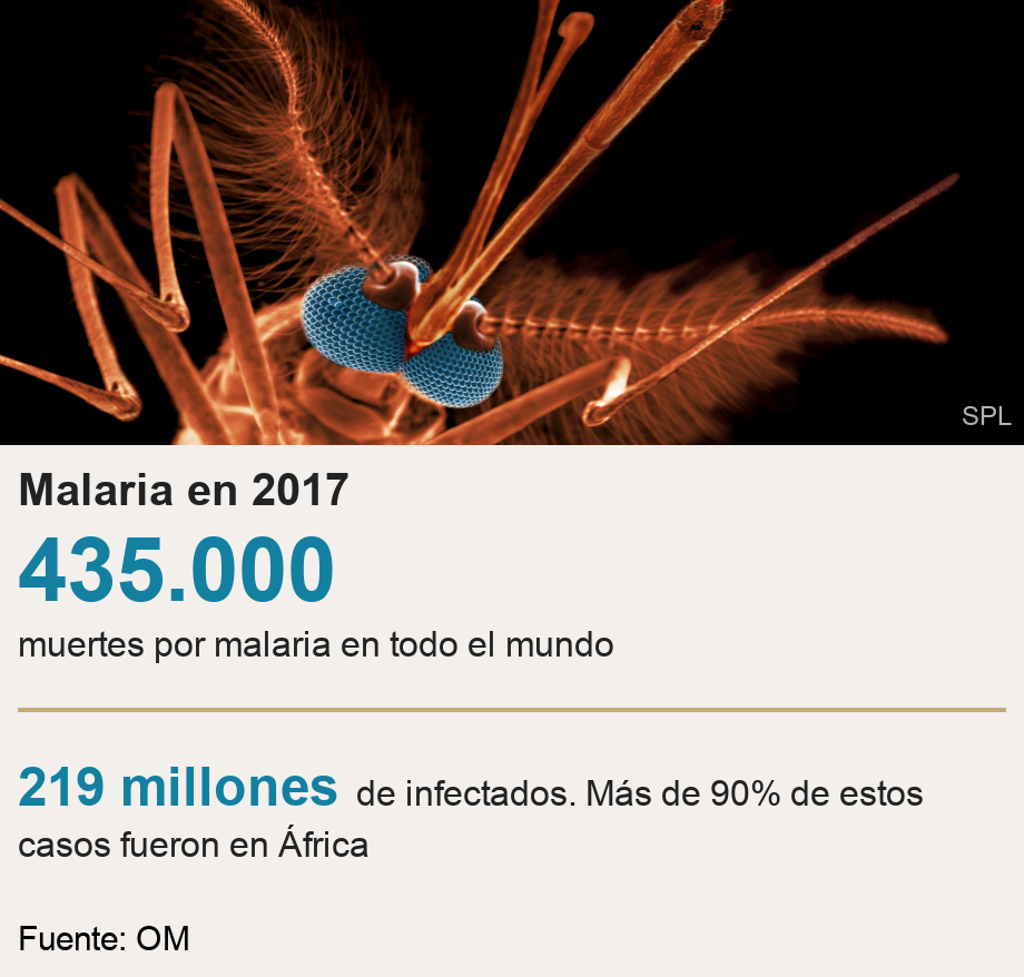 Malaria en 2017.  [ 435.000  muertes por malaria en todo el mundo ] [ 219 millones  de infectados. Más de 90% de estos casos fueron en África ], Source: Fuente: OM, Image:  Anopheles mosquito.