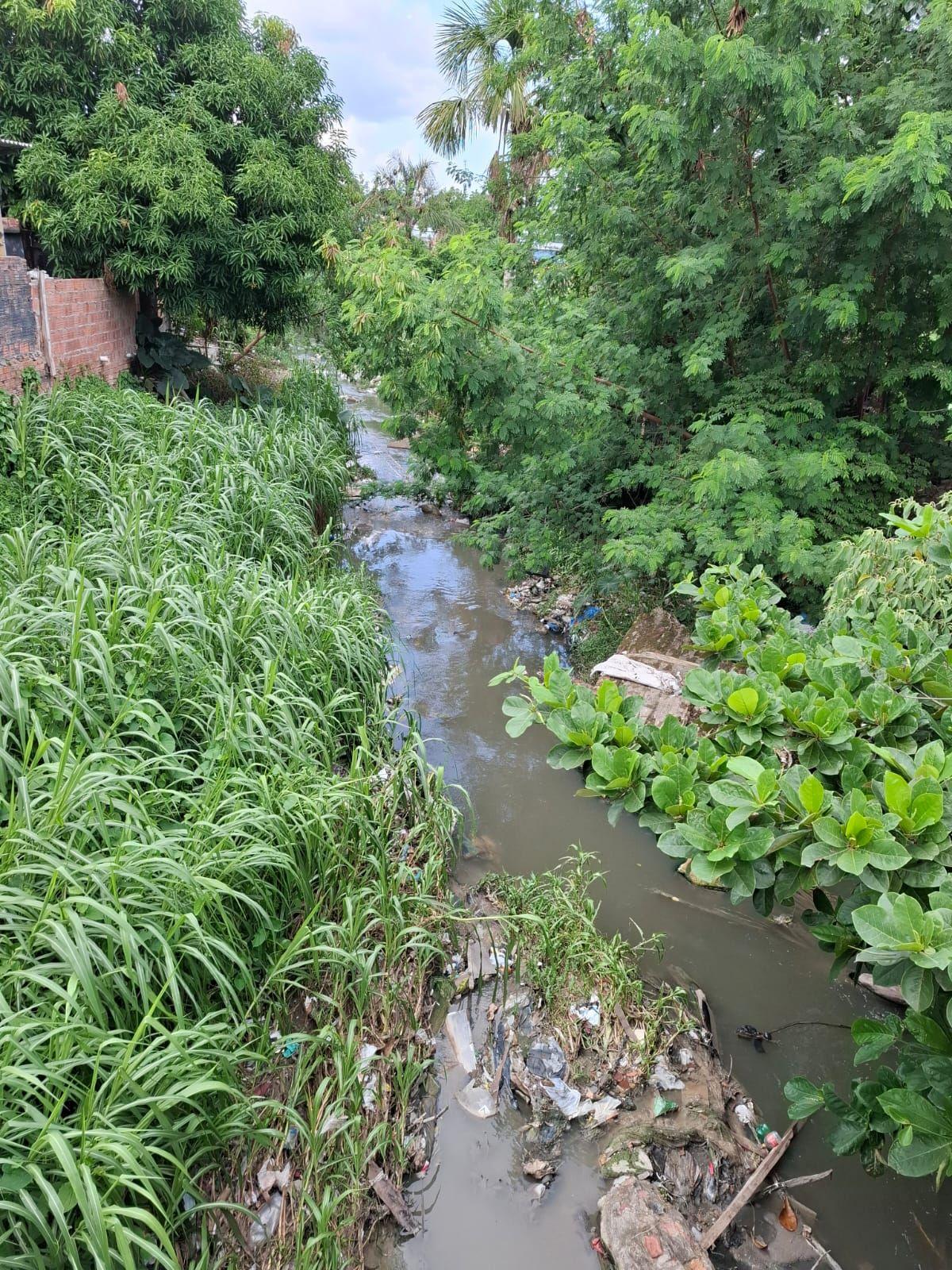 Igarapé poluído em Manaus, com lixo aparente e cor escura da água