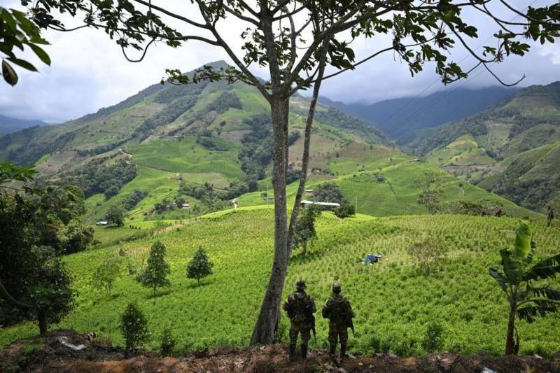 Homens armados olham para campo