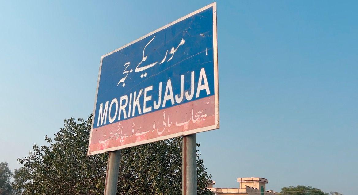 morike jaja