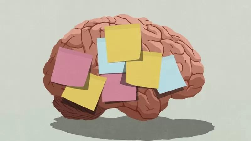 دماغ