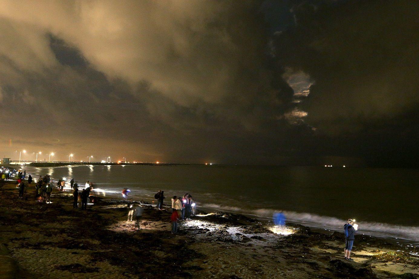 Pessoas se reúnem nas praias do sul da Califórnia para observar o fenômeno